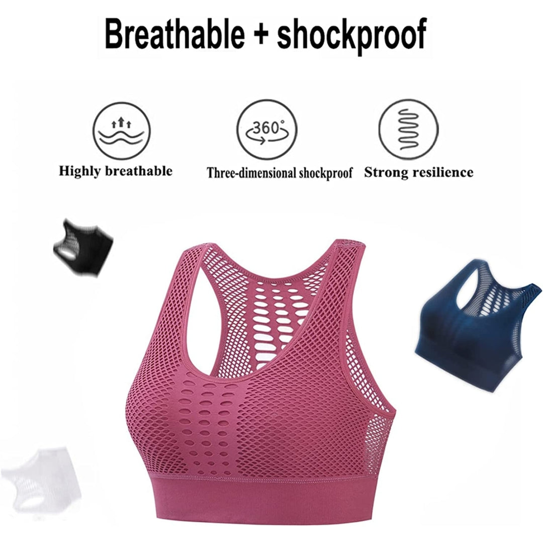 Sexy Mesh Fitness Padded Sports Bras for Women High Support Workout Tops Push Up Sports Bra for Gym Yoga Running Image 4