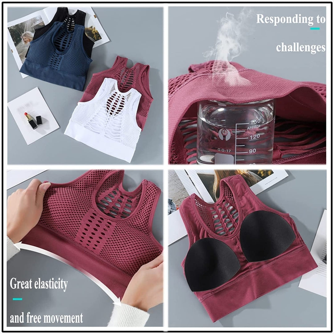 Sexy Mesh Fitness Padded Sports Bras for Women High Support Workout Tops Push Up Sports Bra for Gym Yoga Running Image 4