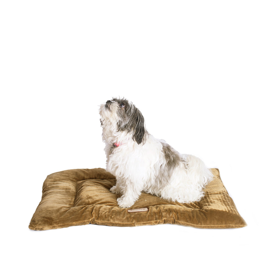 Armarkat Model M01CHL-M Medium Pet Bed Mat with Poly Fill Cushion in Sage Green Image 1