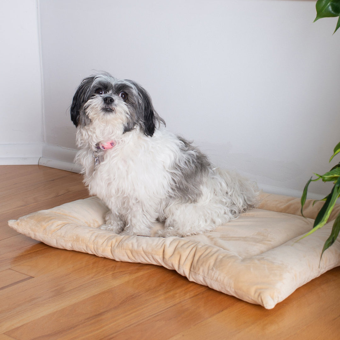 Armarkat M01CMH-M Medium Dog Bed Mat Beige 27x19 Soft Velvet Poly Fill Image 3