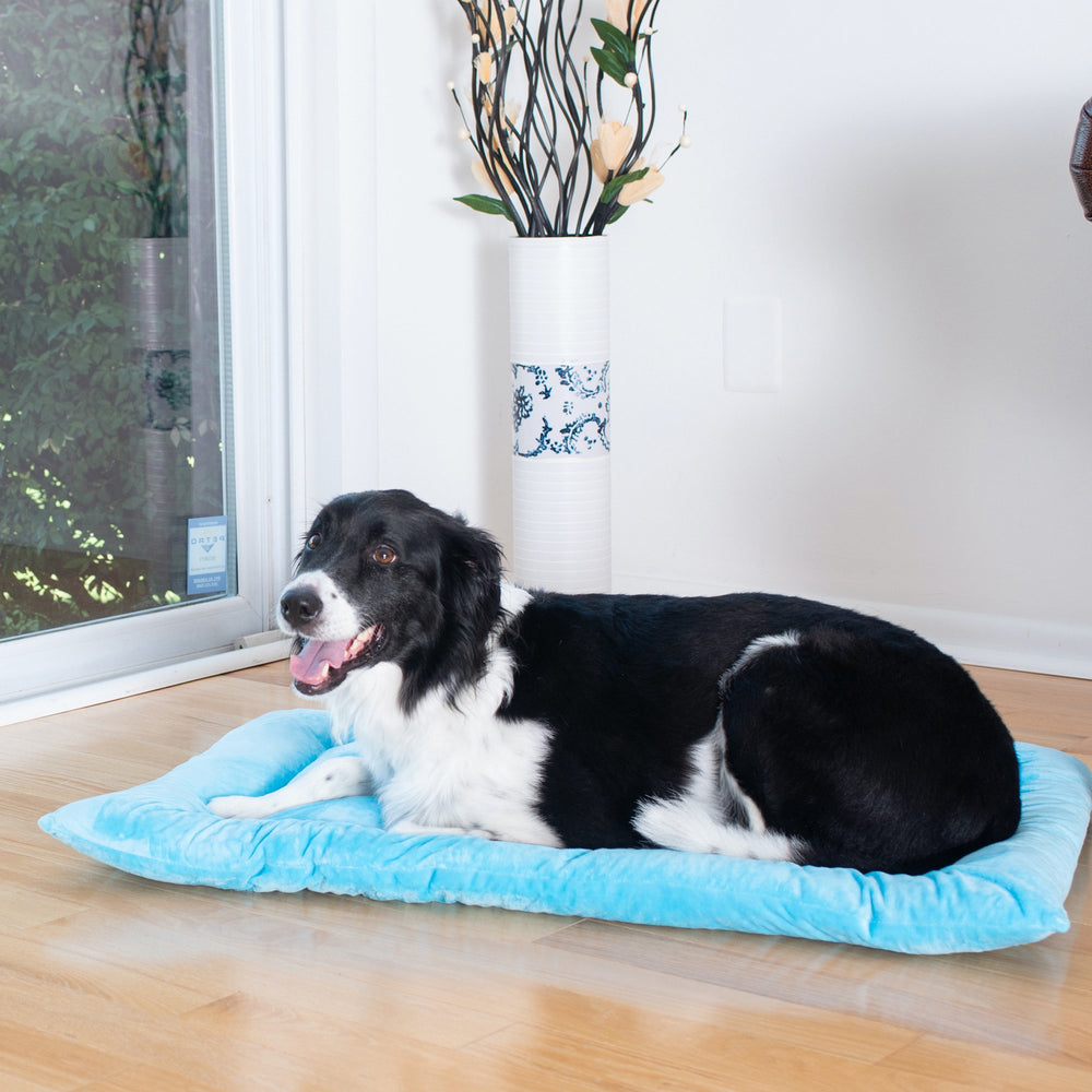 Armarkat Model M01CTL-L Large Pet Bed Mat with Poly Fill Cushion in Sky Blue Image 2