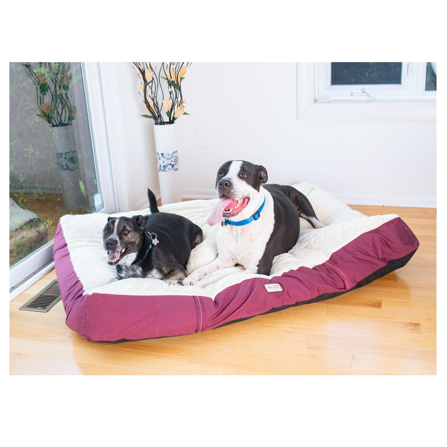 Armarkat Model M02 Double Extra Large Pet Bed Mat with Poly Fill Cushion in Ivory and Burgundy Image 1