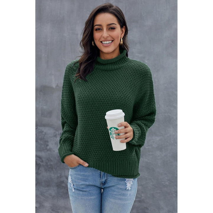 Womens Green Oversized Chunky Batwing Long Sleeve Turtleneck Sweater Image 1