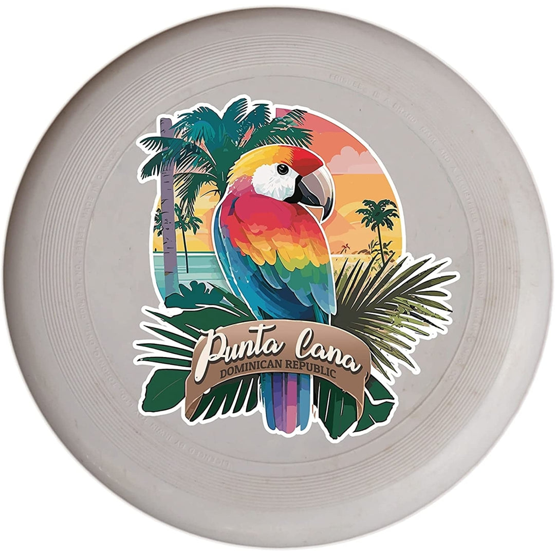 Punta Cana Dominican Republic Souvenir Frisbee Flying Disc Image 3