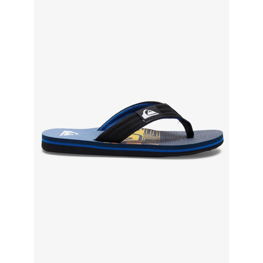 Quiksilver Boys Molokai Layback Flip Flop Sandals Blue Size 6 AQBL100591-BYJ6 Image 2