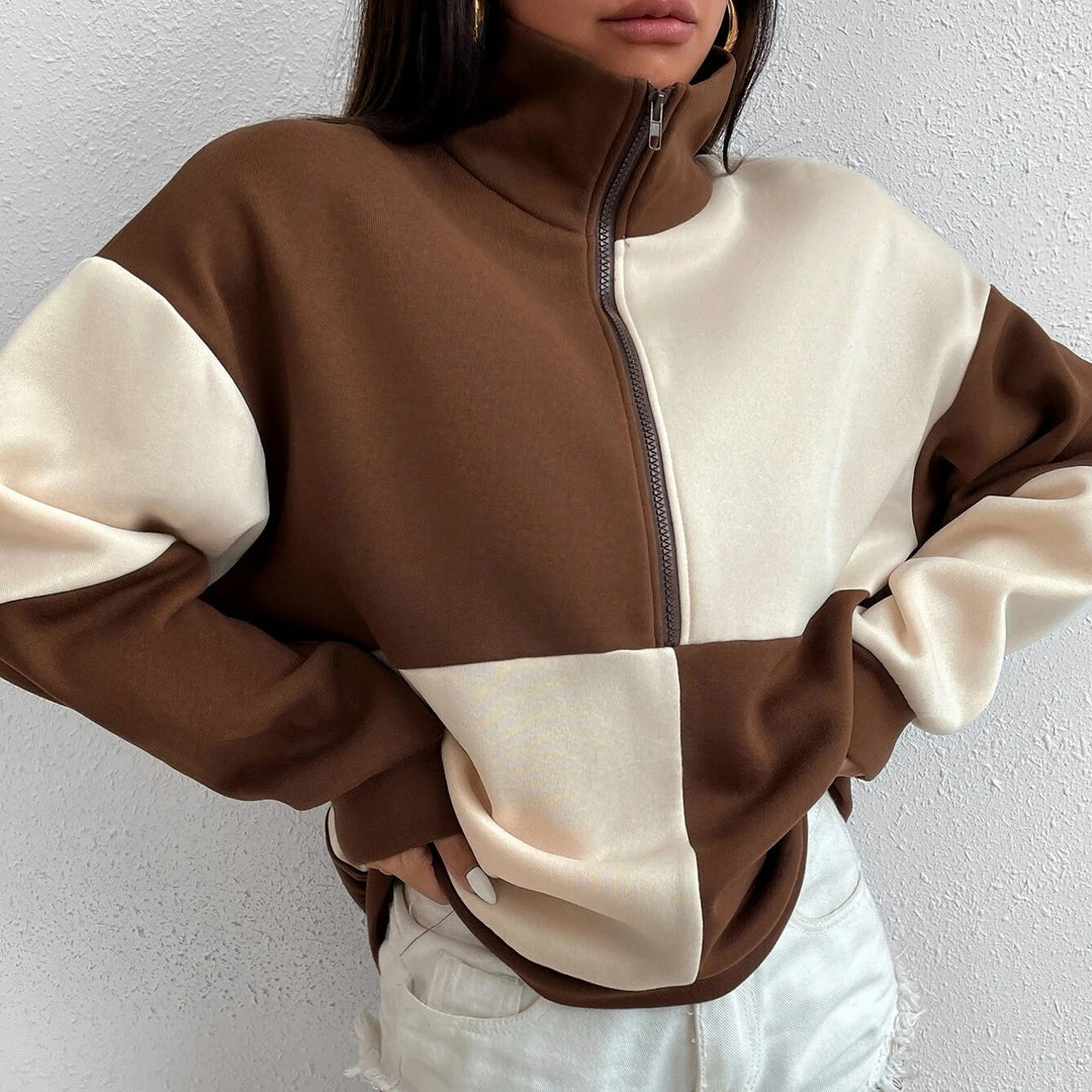 Colorblock Half Zip Drop Shoulder Sweatshirt Image 4