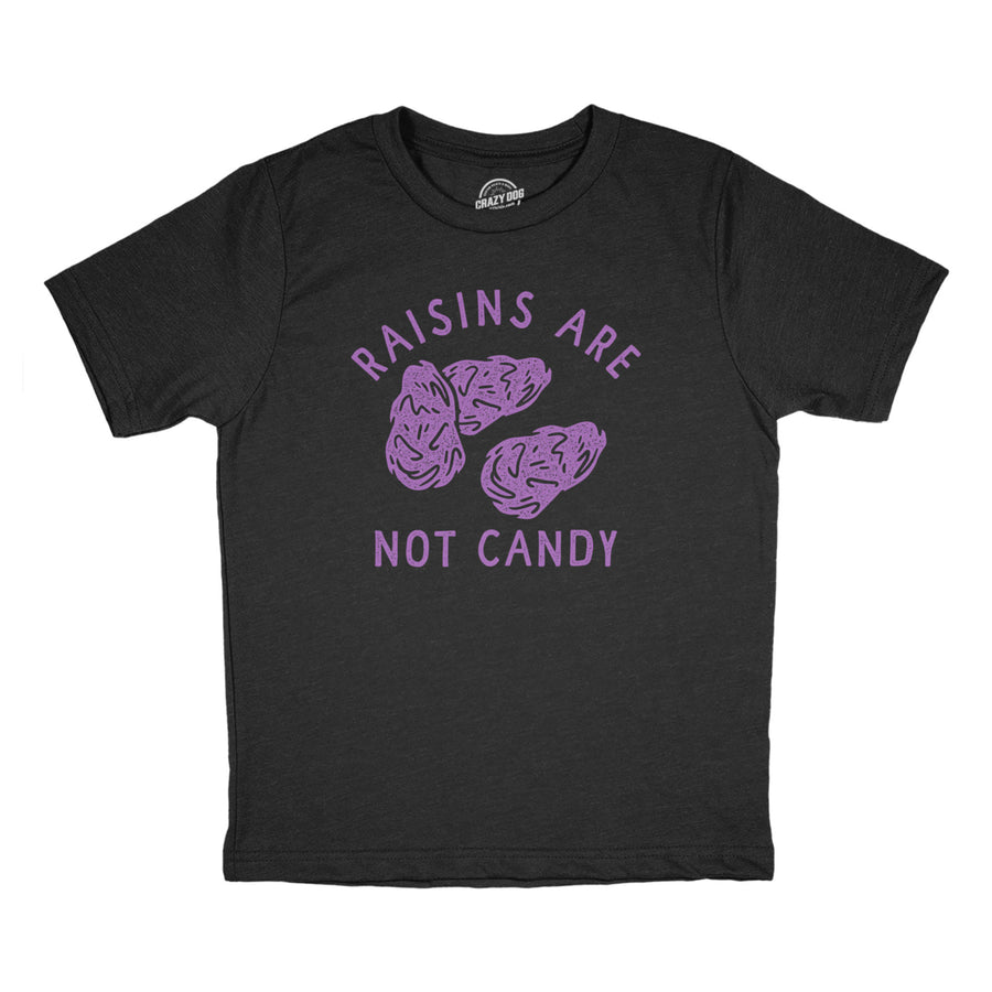 Youth Raisins Are Not Candy T Shirt Funny Healthy Snack Joke Tee For Kids Image 1