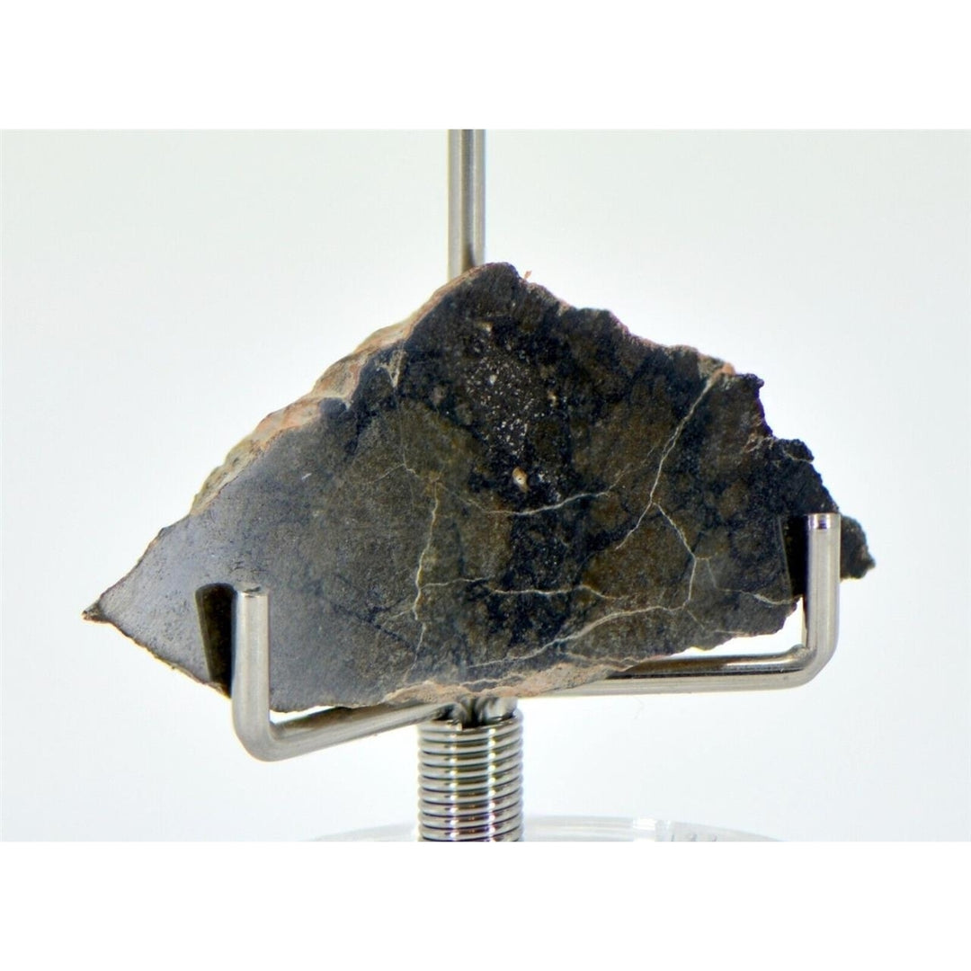 2.62g Eucrite Monomict Slice HED NWA 8555 - TOP METEORITE Image 1