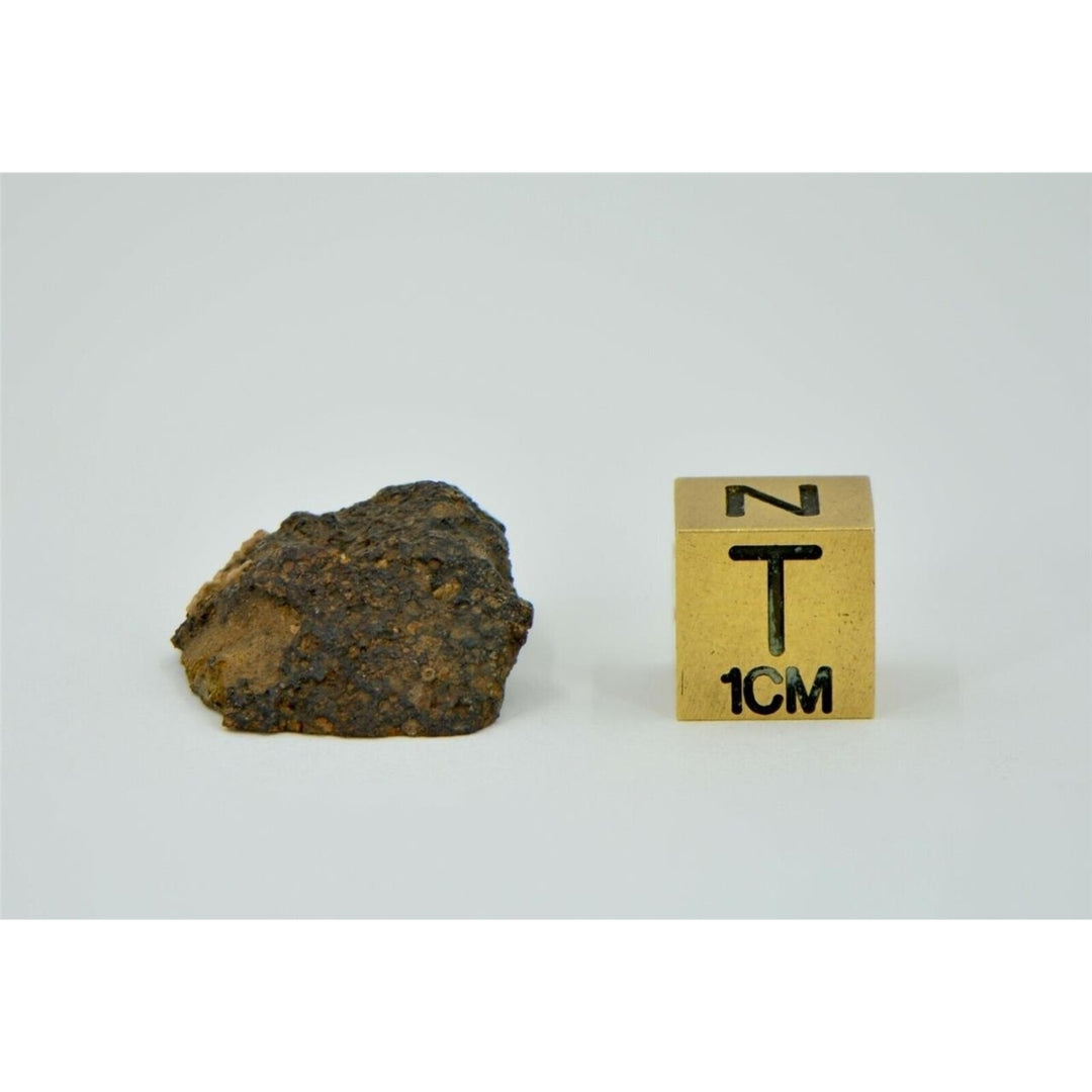 5g LL3.00 Unequilibrated Primitive Chondrite End Cut - TOP METEORITE Image 4