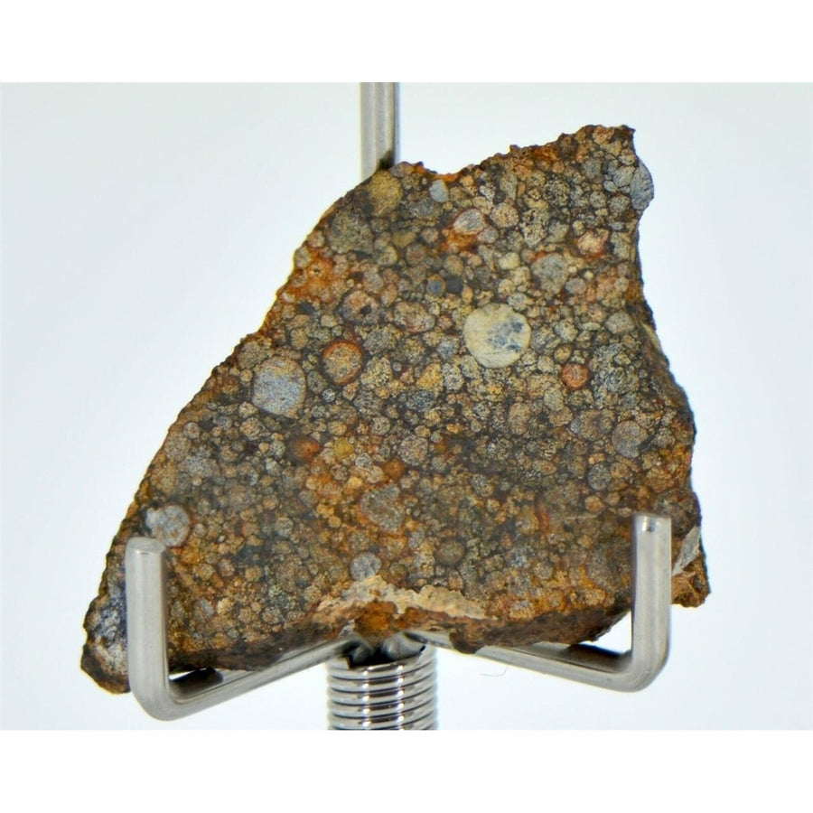 2.06g LL3.00 Unequilibrated Primitive Chondrite Slice - TOP METEORITE Image 1