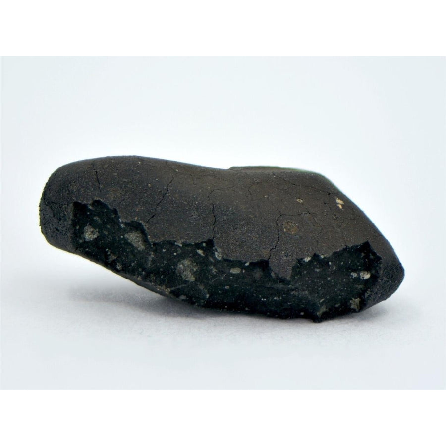 2.9g C2-ung TARDA Carbonaceous Chondrite Meteorite - TOP METEORITE Image 1