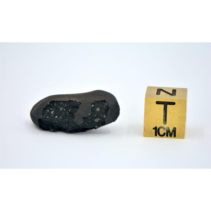 2.9g C2-ung TARDA Carbonaceous Chondrite Meteorite - TOP METEORITE Image 4