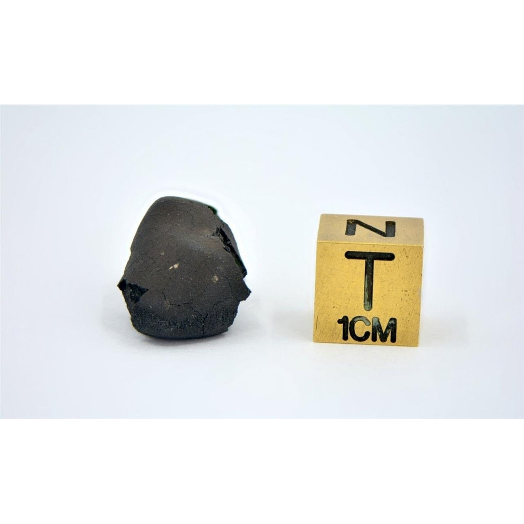 2.9g C2-ung TARDA Carbonaceous Chondrite Meteorite - TOP METEORITE Image 4