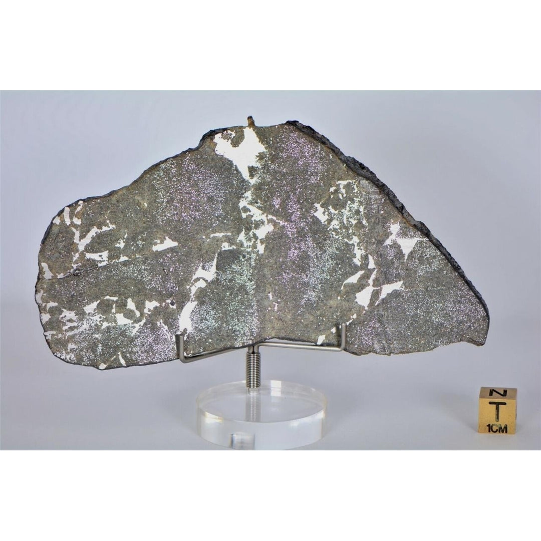 Stunning 49.4g PUNGGUR Meteorite Slice Witnessed Fall Indonesia - TOP METEORITE Image 4