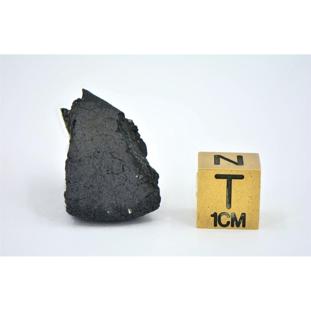 6.7g C2-ung TARDA Carbonaceous Chondrite Meteorite - TOP METEORITE Image 4