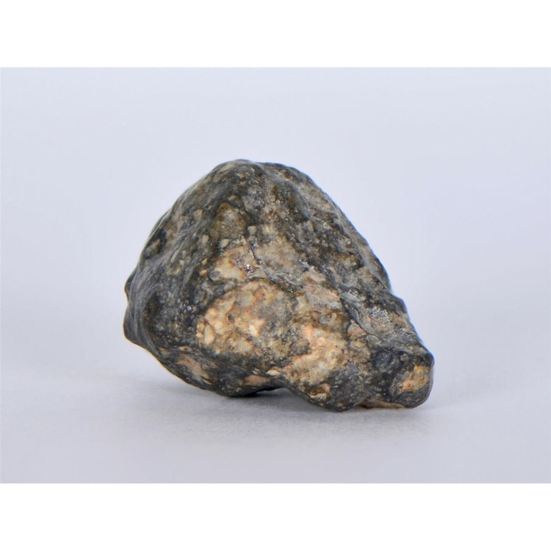 Lunar Meteorite 7.74g I Lunar Breccia I TOUAT 005 - TOP METEORITE Image 4