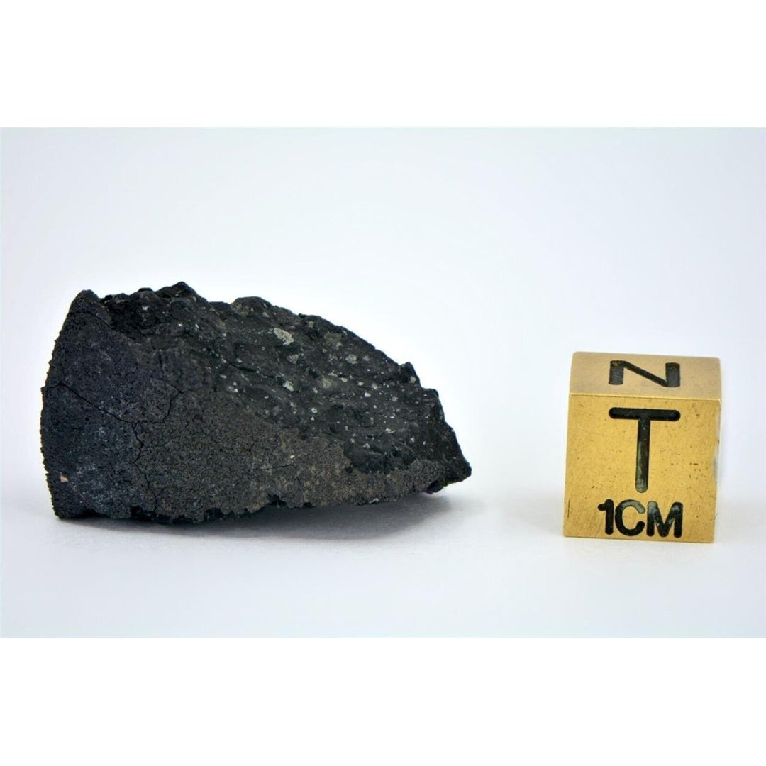 6.7g C2-ung TARDA Carbonaceous Chondrite Meteorite - TOP METEORITE Image 4