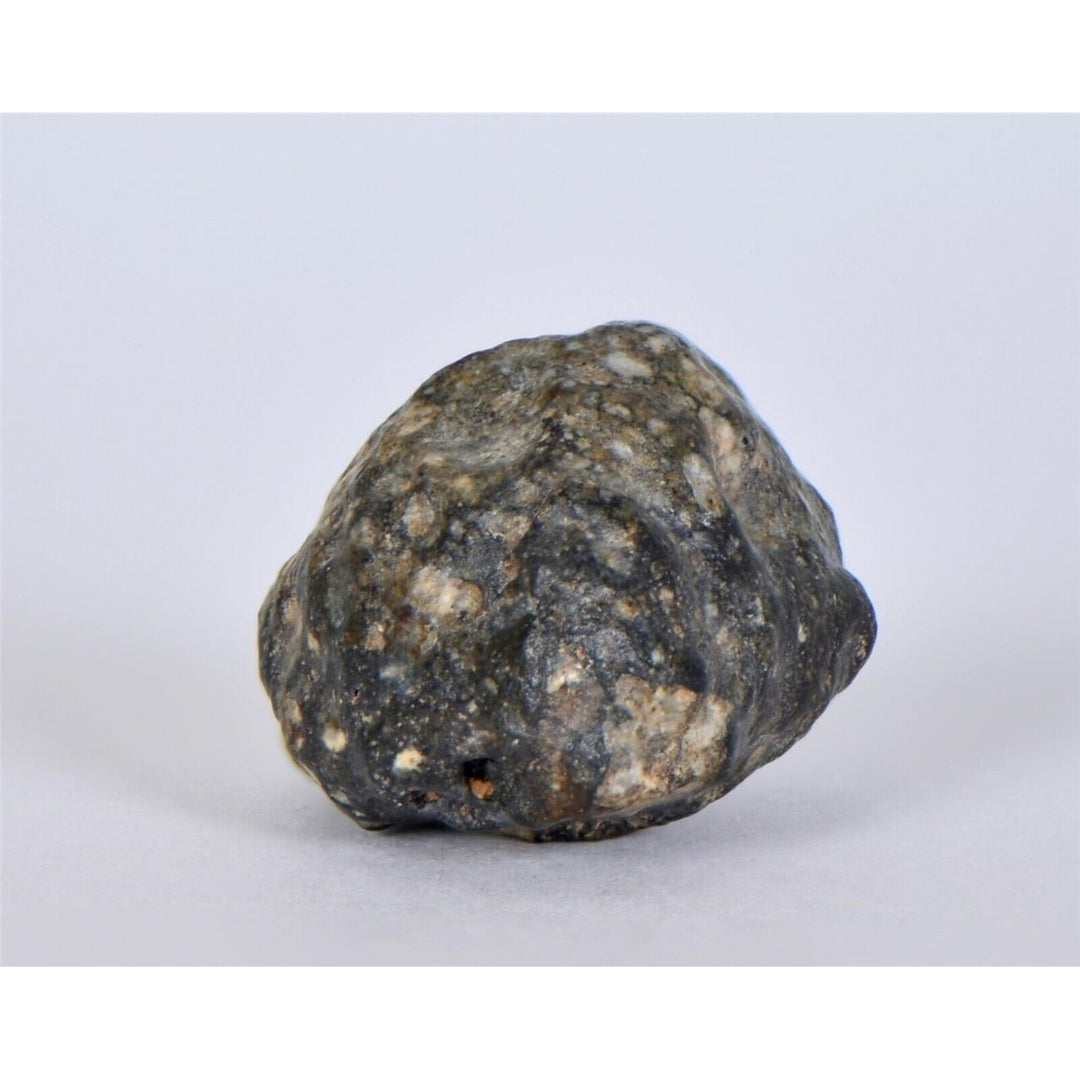 Lunar Meteorite 7.74g I Lunar Breccia I TOUAT 005 - TOP METEORITE Image 4