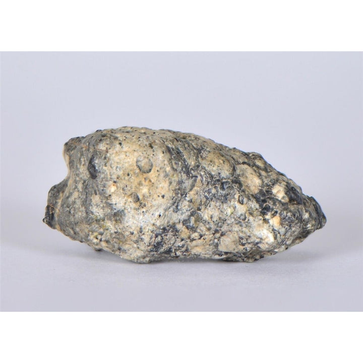 Lunar Meteorite 12.96g I Lunar Breccia I TOUAT 005 - TOP METEORITE Image 1