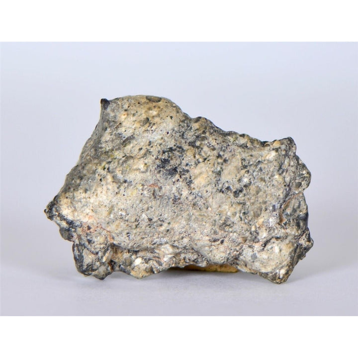 Lunar Meteorite 12.96g I Lunar Breccia I TOUAT 005 - TOP METEORITE Image 4