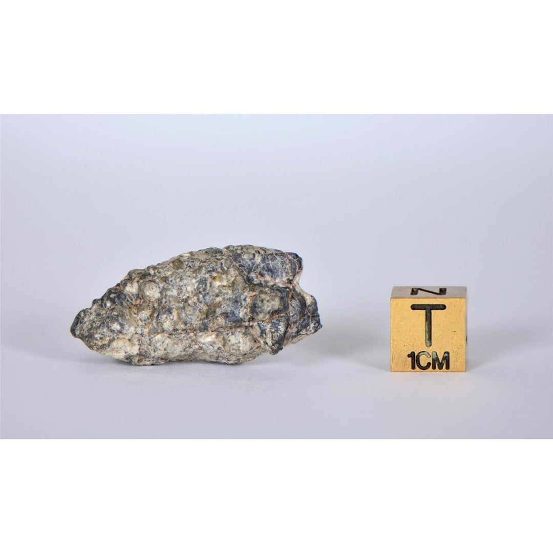 Lunar Meteorite 12.96g I Lunar Breccia I TOUAT 005 - TOP METEORITE Image 4