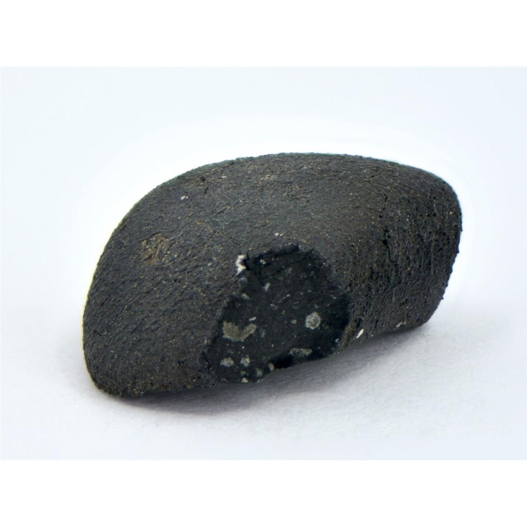 1.5g C2-ung TARDA Carbonaceous Chondrite Meteorite - TOP METEORITE Image 4