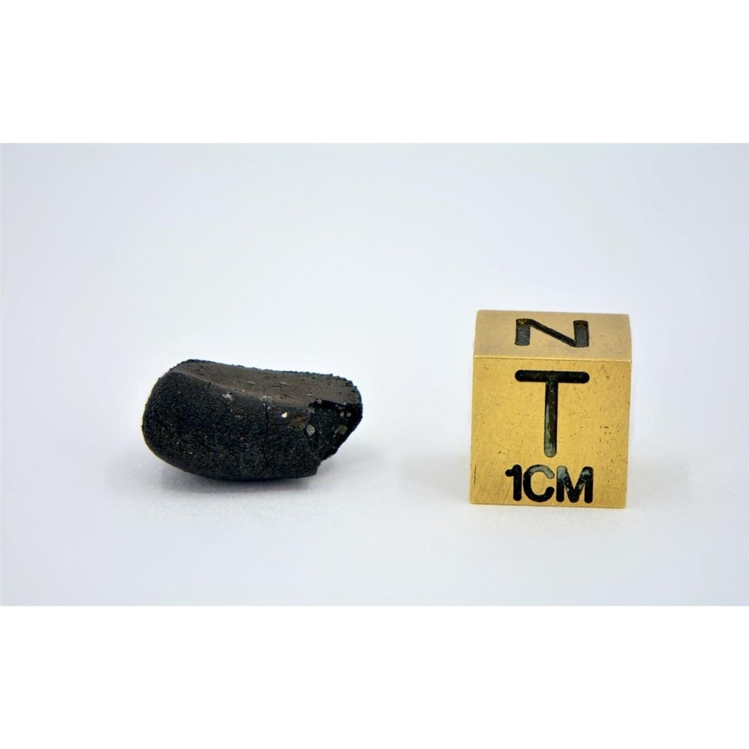 1.5g C2-ung TARDA Carbonaceous Chondrite Meteorite - TOP METEORITE Image 6