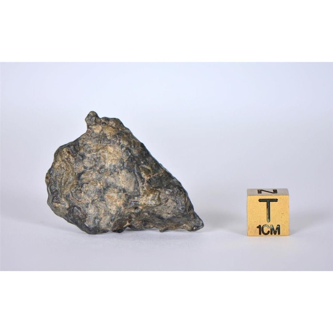 Lunar Meteorite 18.33g I Lunar Breccia I TOUAT 005 - TOP METEORITE Image 4