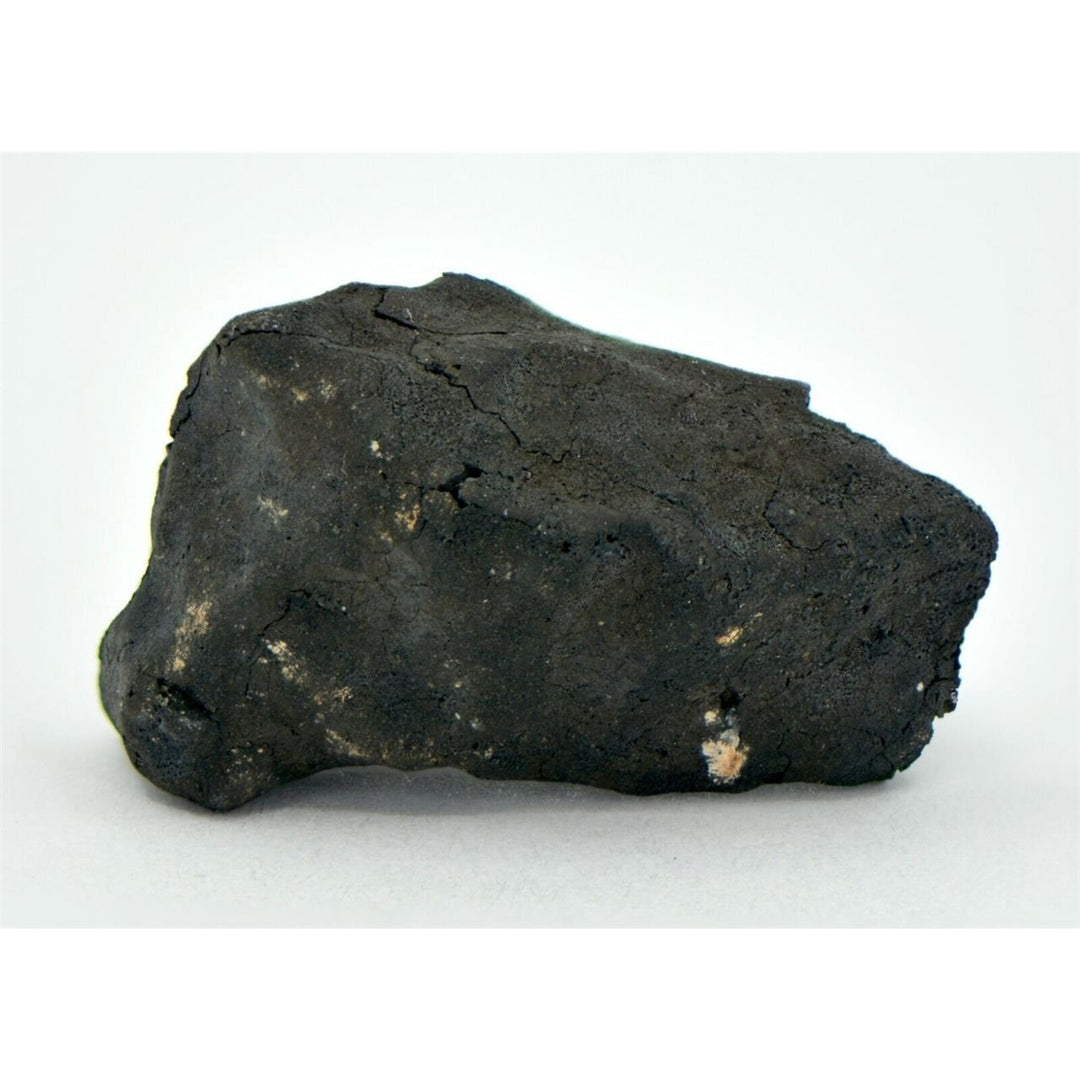 6.9g C2-ung TARDA Carbonaceous Chondrite Meteorite - TOP METEORITE Image 3