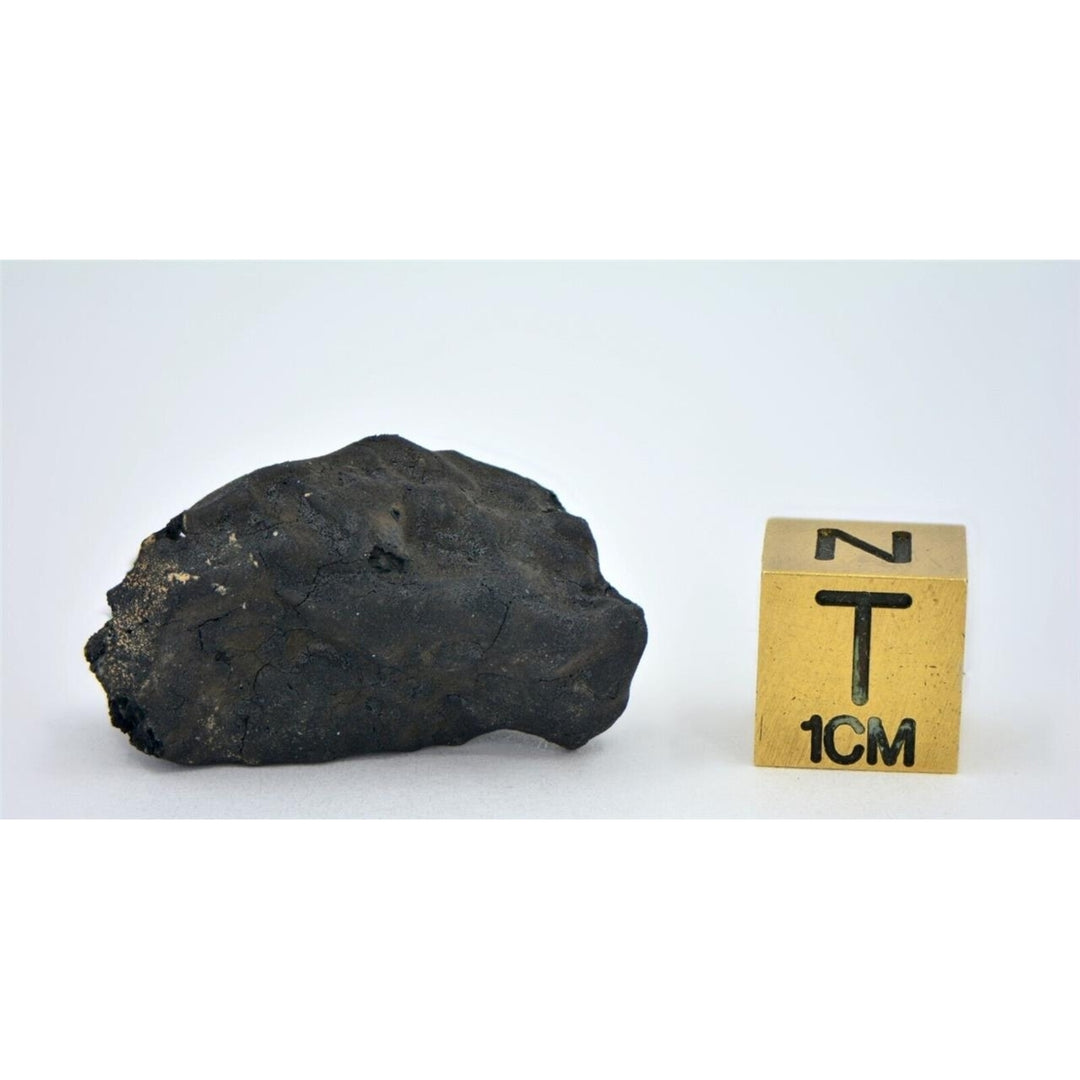 6.9g C2-ung TARDA Carbonaceous Chondrite Meteorite - TOP METEORITE Image 4