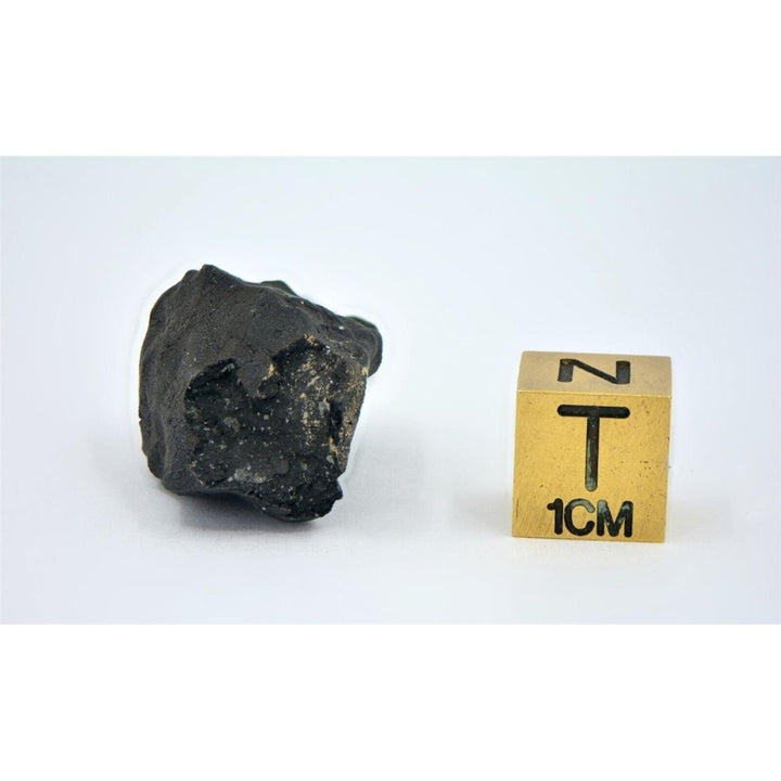 6.9g C2-ung TARDA Carbonaceous Chondrite Meteorite - TOP METEORITE Image 6