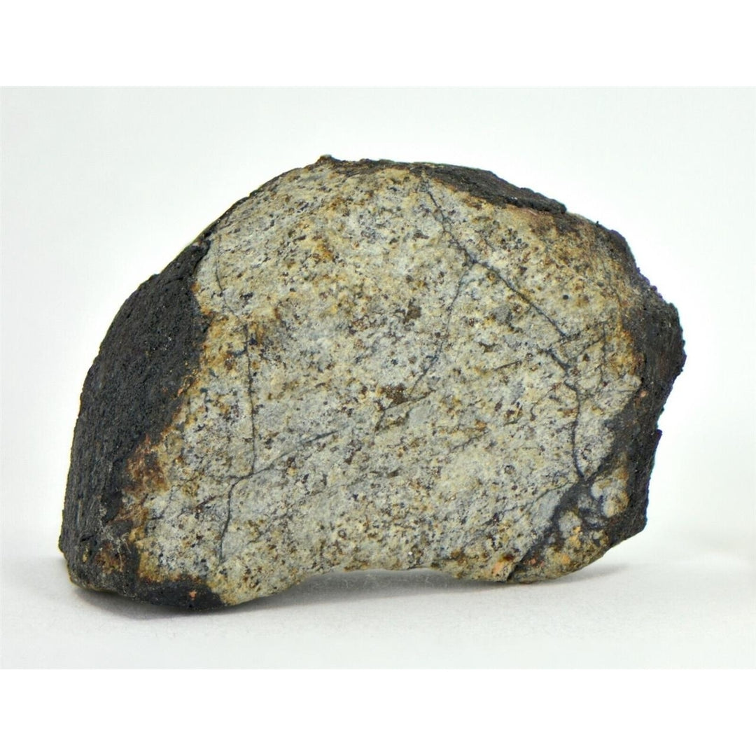 9.95g VI ALES Meteorite Slice I L6 Chondrite Witnessed Fall - TOP METEORITE Image 2