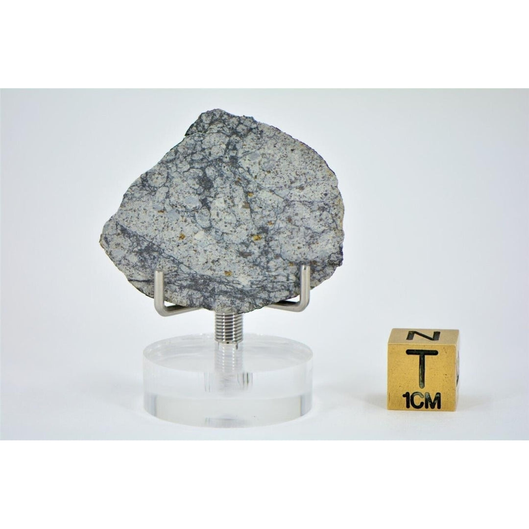 7.7g VIALES Meteorite Slice I L6 Chondrite Witnessed Fall  - TOP METEORITE Image 3