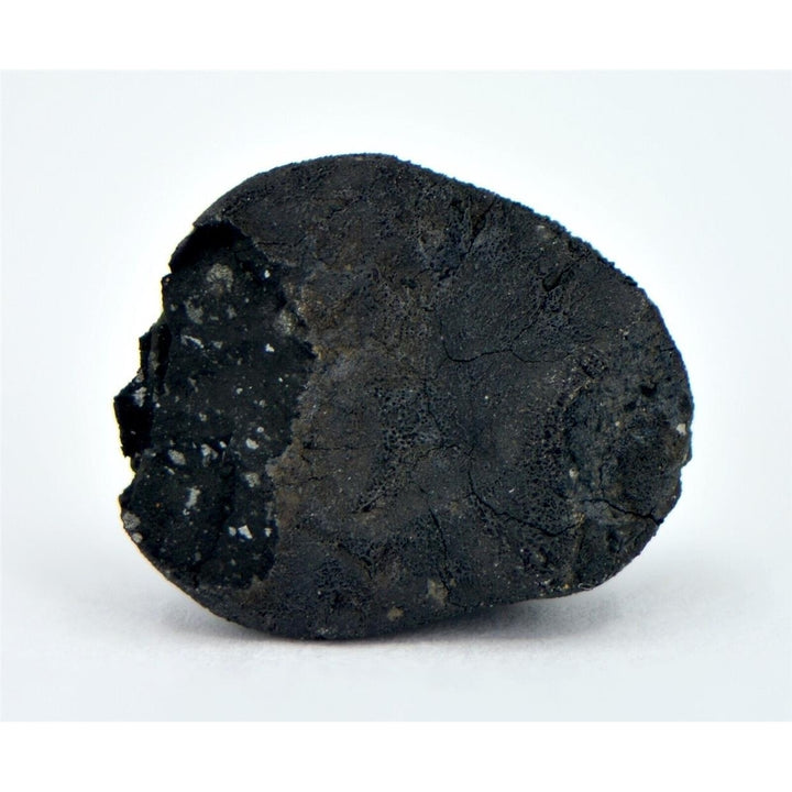 1.15g C2-ung TARDA Carbonaceous Chondrite Meteorite - TOP METEORITE Image 3