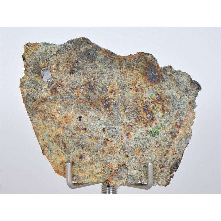 8.18g Lodranite Rare Primitive Achondrite Meteorite Slice I NWA 11901 - TOP Image 1