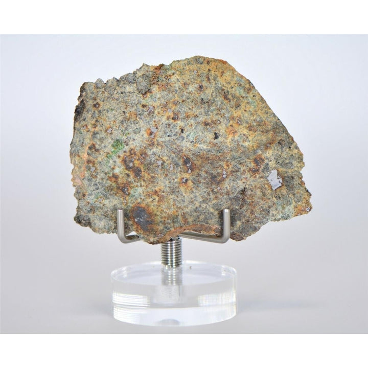 8.18g Lodranite Rare Primitive Achondrite Meteorite Slice I NWA 11901 - TOP Image 2