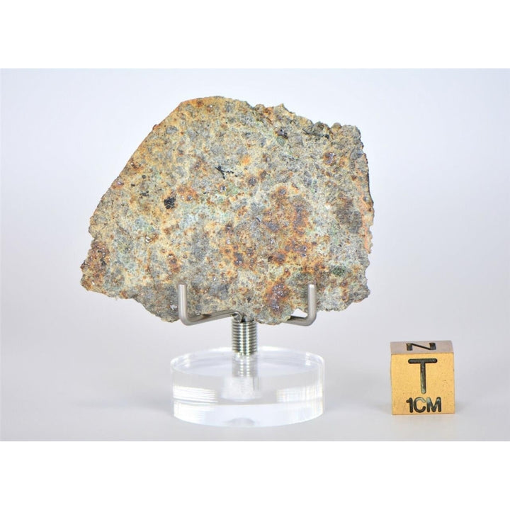8.18g Lodranite Rare Primitive Achondrite Meteorite Slice I NWA 11901 - TOP Image 3