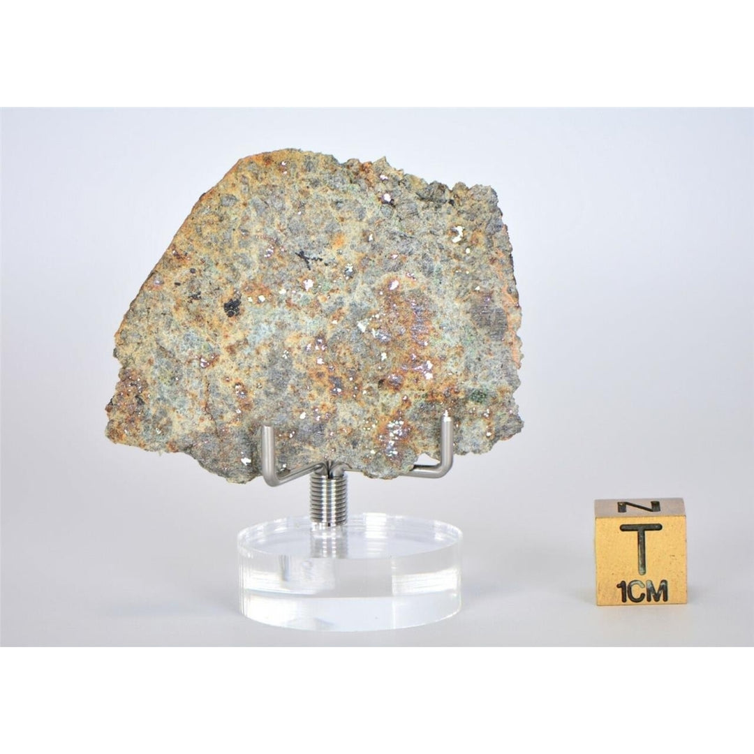 8.18g Lodranite Rare Primitive Achondrite Meteorite Slice I NWA 11901 - TOP Image 4