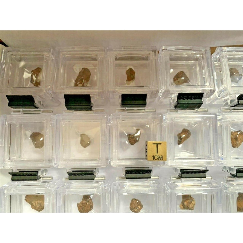 Iron Meteorites - Qty 72 Individually Acrylic Boxed AGOUDAL IIAB Iron - TOP Image 2