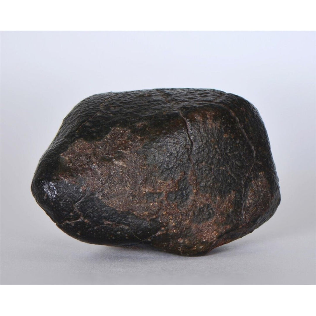 63.04g CO3 - Carbonaceous Chondrite Meteorite - TOP METEORITE Image 1