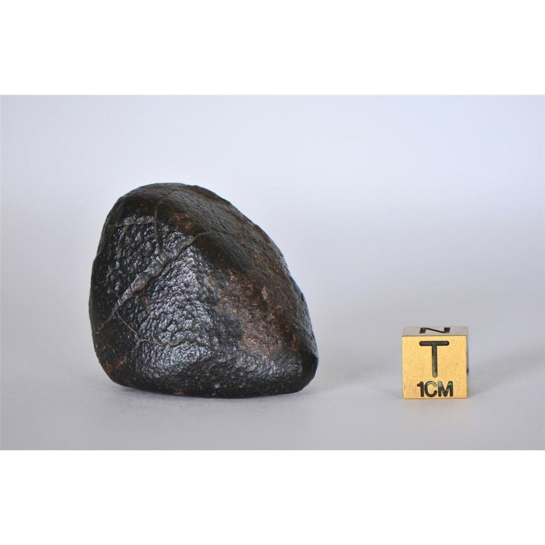 63.04g CO3 - Carbonaceous Chondrite Meteorite - TOP METEORITE Image 3