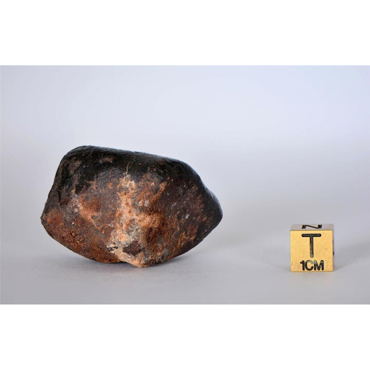 63.04g CO3 - Carbonaceous Chondrite Meteorite - TOP METEORITE Image 4