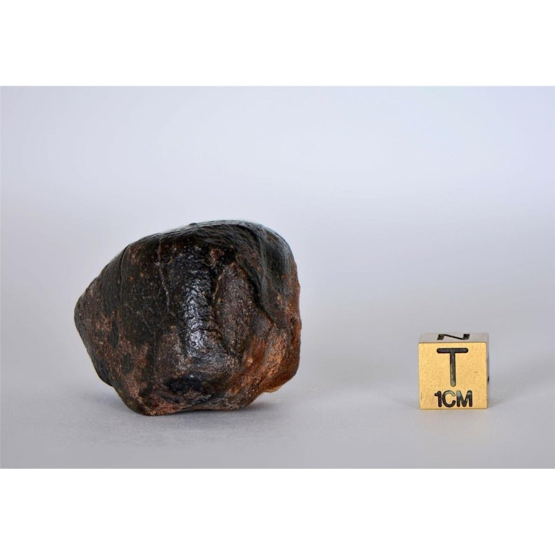 63.04g CO3 - Carbonaceous Chondrite Meteorite - TOP METEORITE Image 4