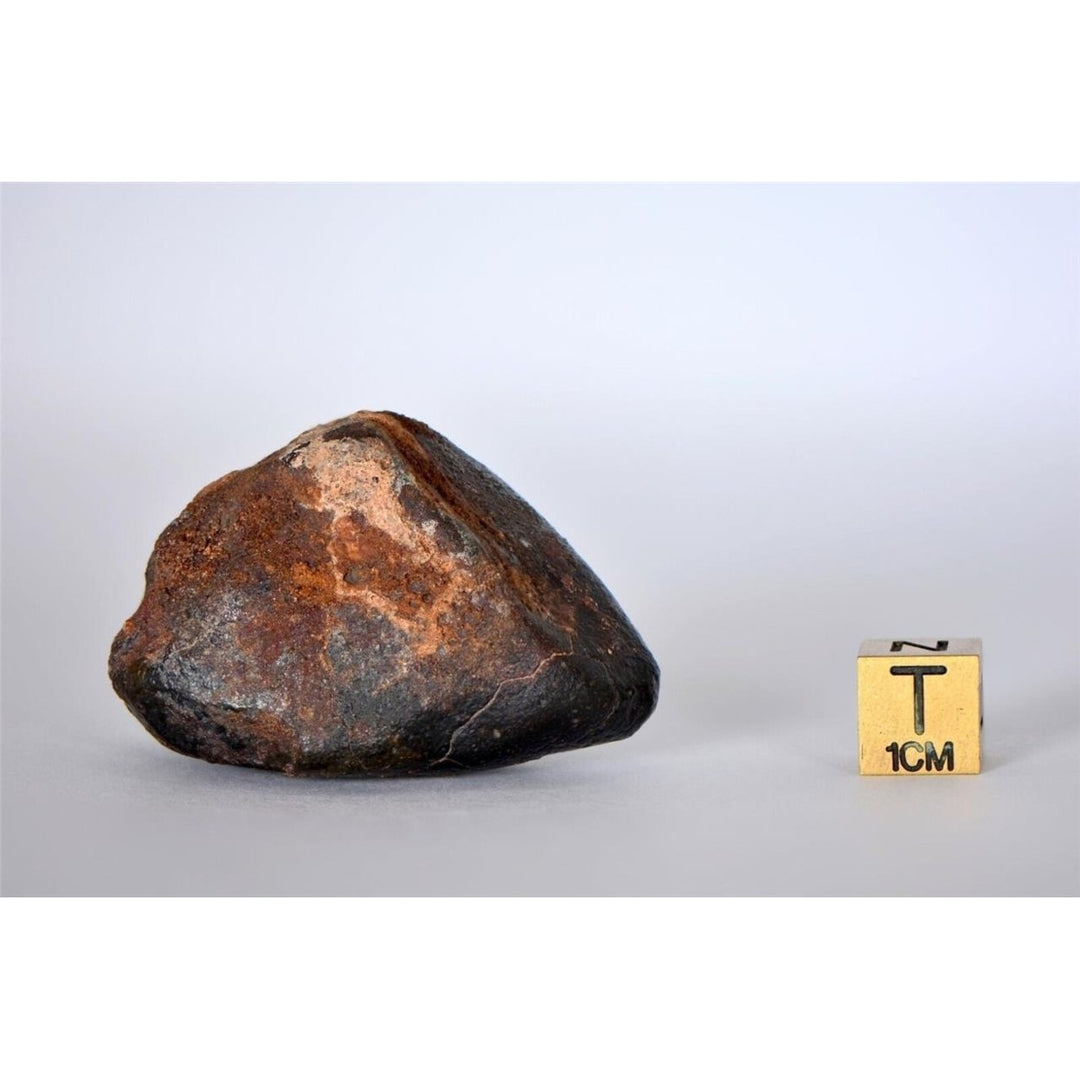 63.04g CO3 - Carbonaceous Chondrite Meteorite - TOP METEORITE Image 6