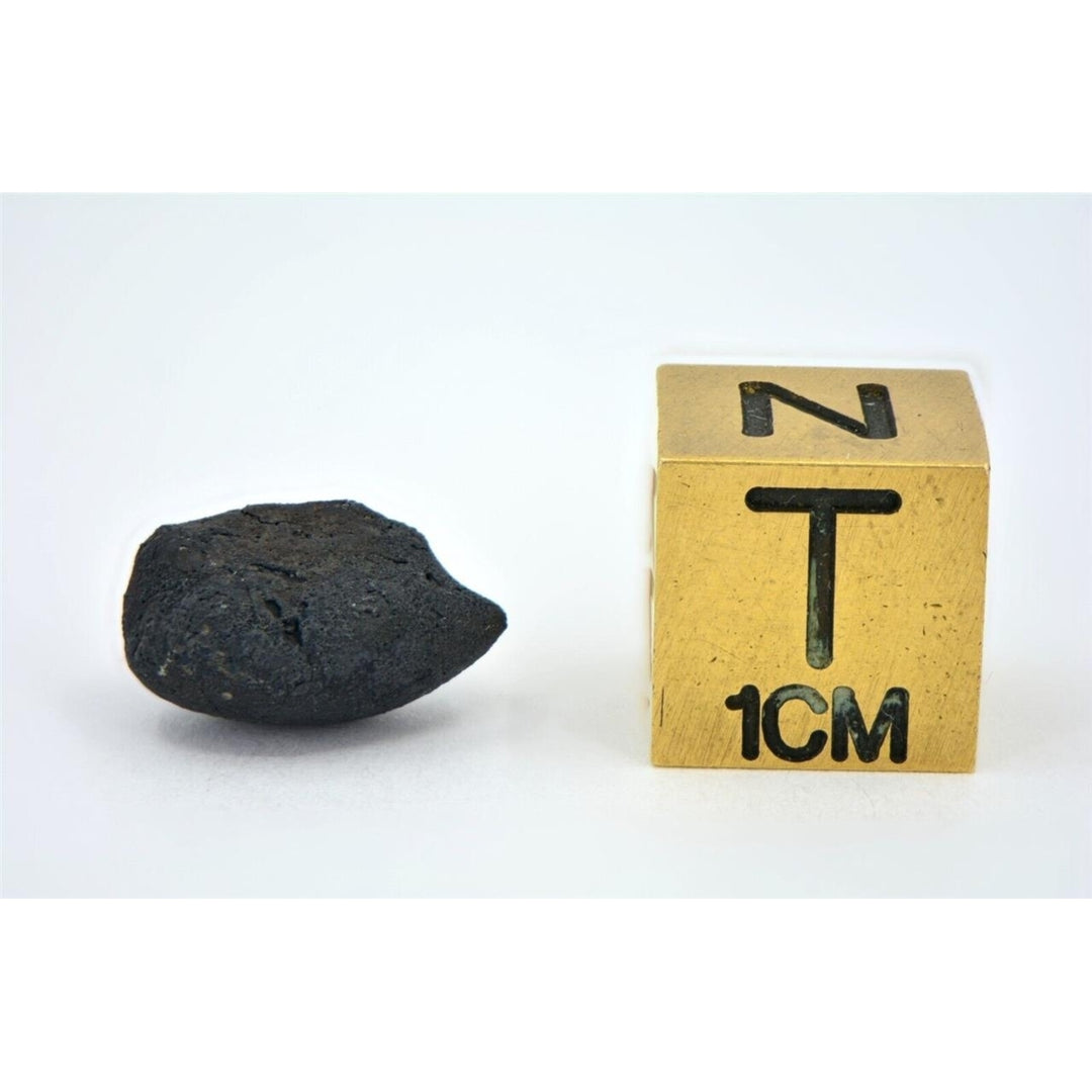 0.68g C2-ung TARDA Carbonaceous Chondrite Meteorite - TOP METEORITE Image 6