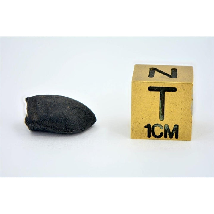 0.85g C2-ung TARDA Carbonaceous Chondrite Meteorite - TOP METEORITE Image 6