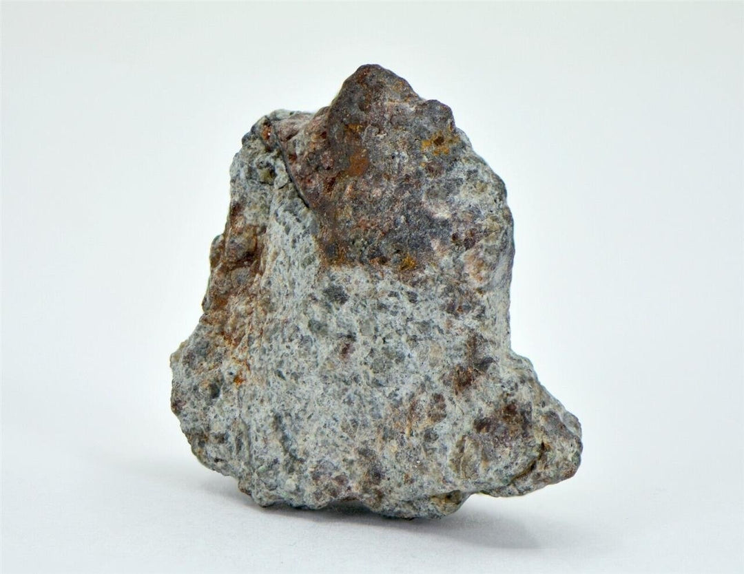 13.58g Lodranite Rare Primitive Achondrite Meteorite I NWA 11901 - TOP METEORITE Image 6