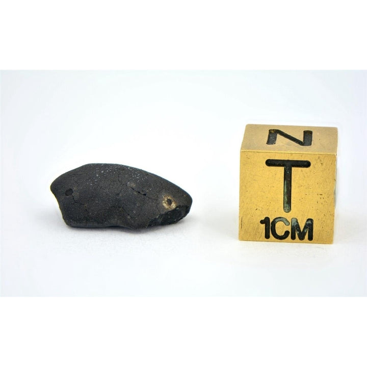 1.06g C2-ung TARDA Carbonaceous Chondrite Meteorite - TOP METEORITE Image 6