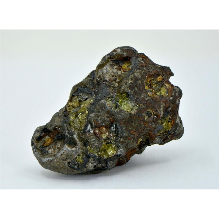 89.7g IMILAC Exceptional Pallasite Specimen - TOP METEORITE Image 3