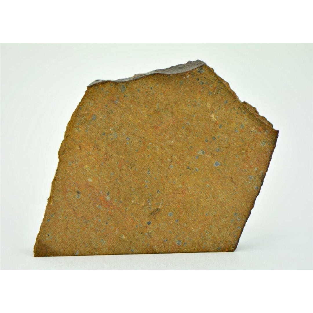 18.74g OUZINA R4 Chondrite Meteorite Slice - TOP METEORITE Image 1